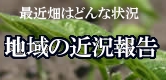 十勝帯広畑の様子